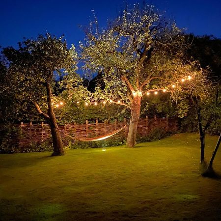 B&B De Lage Zwaluw Lage Zwaluwe Екстер'єр фото